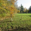 Barevný podzim v sadu - Podzim v Toušeňské zahradě rozhodně není smutný... 