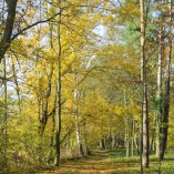 Barevný podzim v sadu - Podzim v Toušeňské zahradě rozhodně není smutný...  