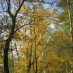 Barevný podzim v sadu - Podzim v Toušeňské zahradě rozhodně není smutný... 