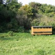 Podzim 2012 v sadu - 