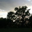 Chvíle na přírodě - Teď to bude chvíli na přírodě, my budeme čekat, pravidelně...